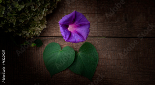 Grünes Herzförmiges Blatt mit Blume  auf altem Holzbrett