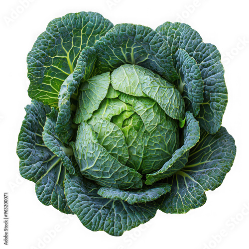 Obraz na płótnie Cabbage isolated on a transparent background png file no background png file w salonie