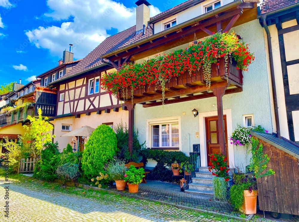 Obraz premium houses in the town of Gengenbach in the Black Forest, Germany
