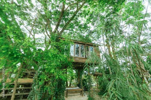 Wooden tree cabin