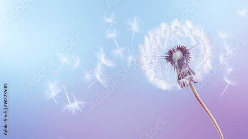 A close-up photorealistic image of a delicate dandelion seed head with its feathery seeds gracefully dispersed against a soft pastel blue and purple background