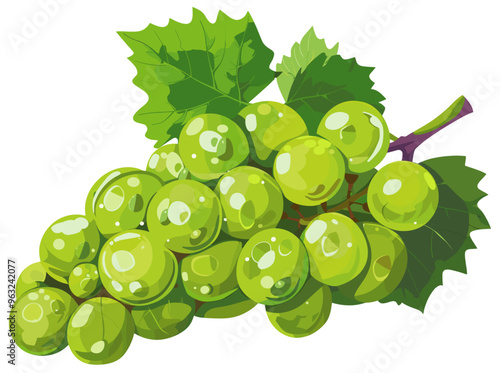 Bunch of delicious green grapes. Realistic colorful illustration