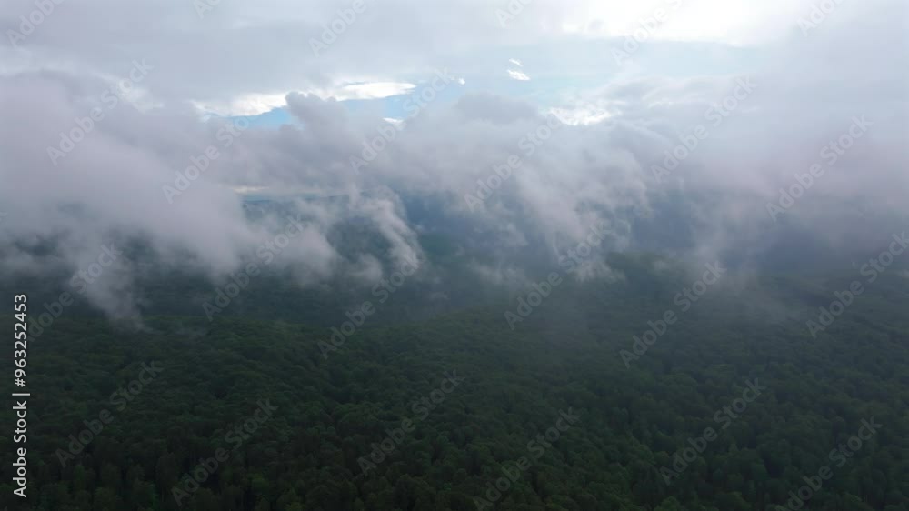 Forests after rain 4k video. Aerial mountain landscape. Clouds of fog coming out of the forest after a summer rain. Green forest tree landscape. Forests after rain 4k video. Aerial mountain landscape. Clouds of fog coming out of the forest after a summer rain. Green forest tree landscape.