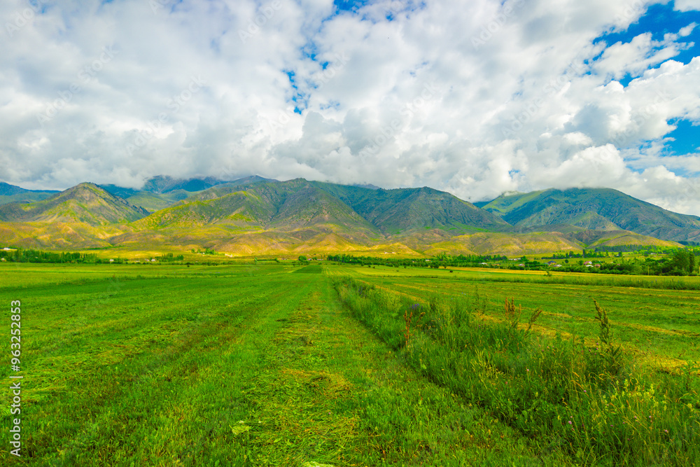 Green agricultural field with mountain range under a white cumulus clouds sky and sunlight. Green agricultural field with mountain range under a white cumulus clouds sky and sunlight.