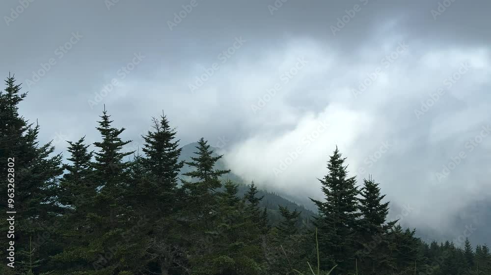 The top op of Mount Mitchell in Mount Mitchell State Park near the Blue Ridge Parkway The top op of Mount Mitchell in Mount Mitchell State Park near the Blue Ridge Parkway