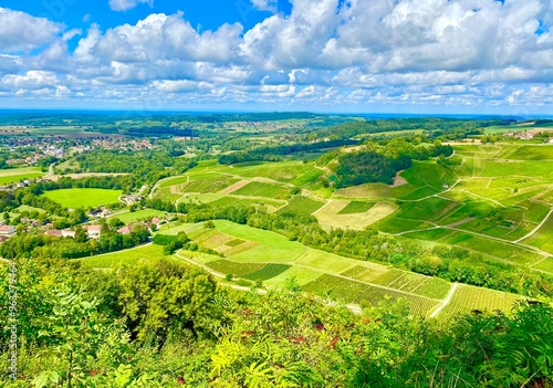 landscape with green vineyards in Jura, France photo