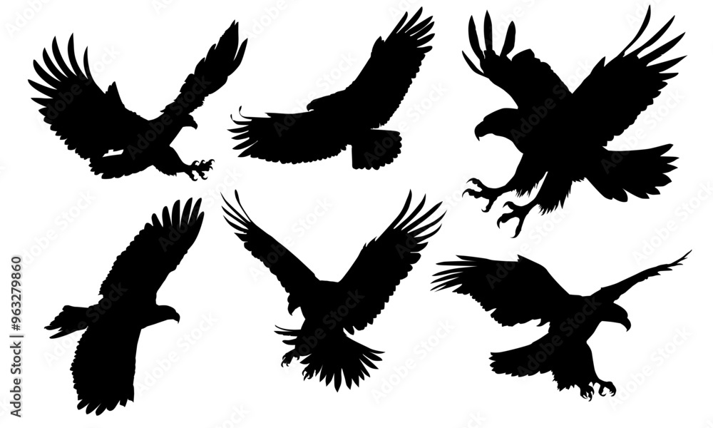 Fototapeta premium Animals eagle hawk bird fly swoop attack silhouette set collection on white background vector