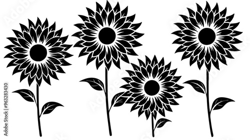 Set of sunflower silhouette on white background photo