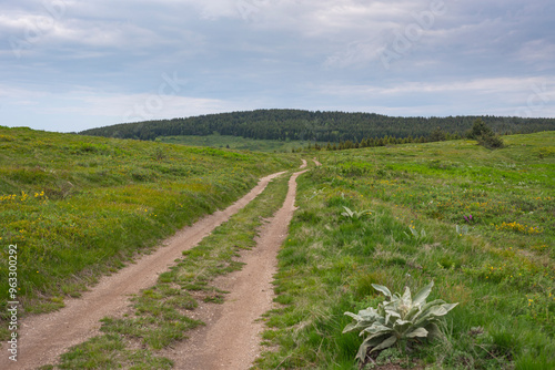 Beautiful landscapes from Cemernik mountain in south Serbia.