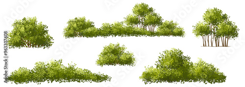  Vector watercolor green  tree or forest side view isolated on white background for landscape and architecture drawing,elements for environment or and garden,Shrub for section