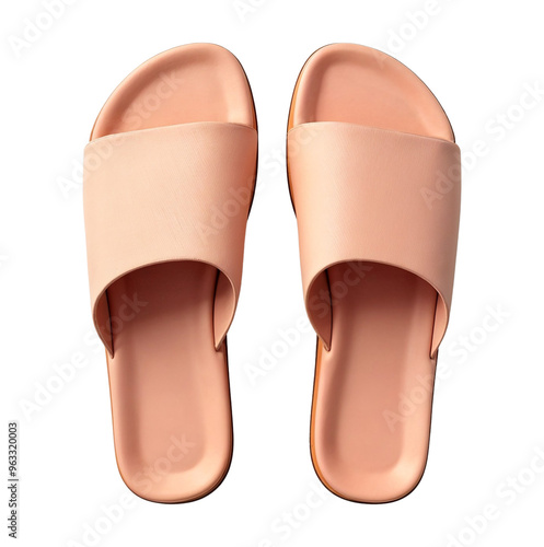 Pair of Ladies shoes Isolated on Transparent Background