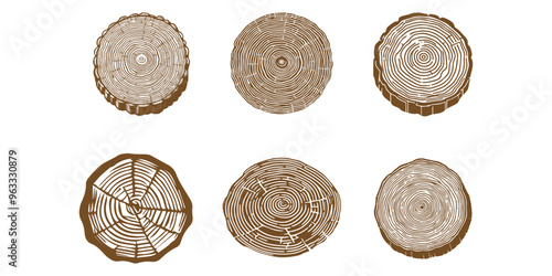 Hand drawn Tree rings wood slice texture. Abstract tree age year circle
