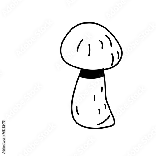 Hand drawn mushrooms. Vector illustration.