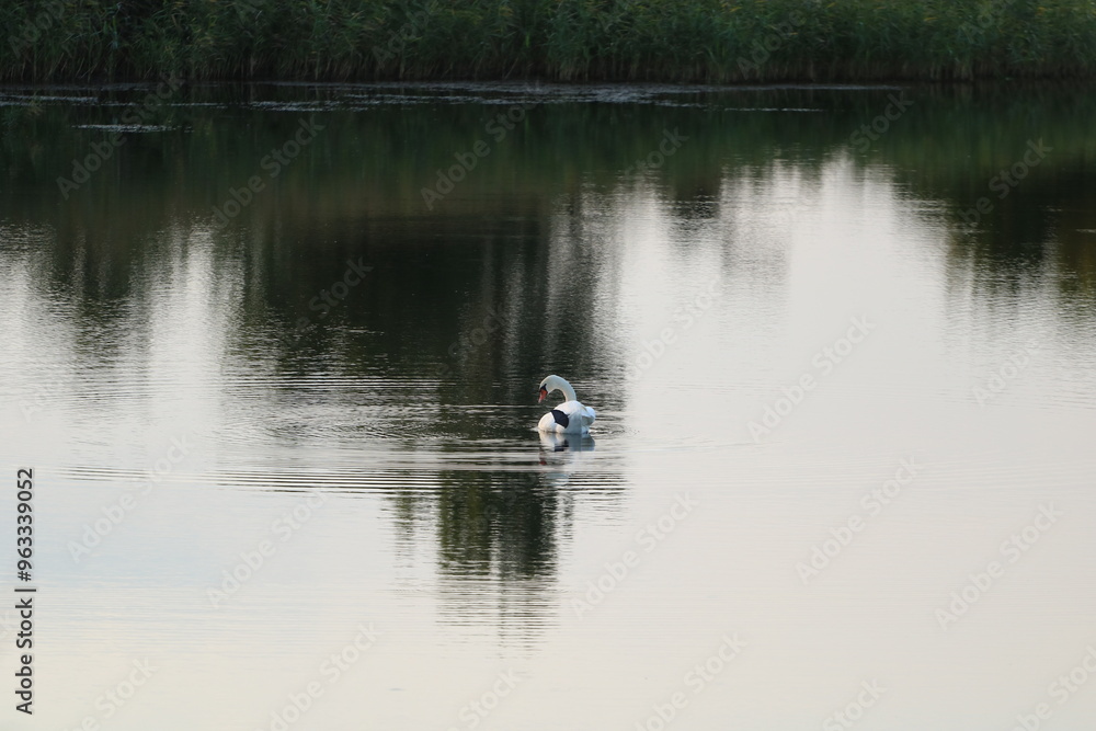 Photos of the lake during sunset from a drone and camera. Photos of the lake during sunset from a drone and camera.