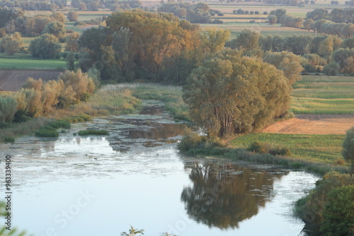 Aerial photos of the Lower Vistula Valley during the golden hour.