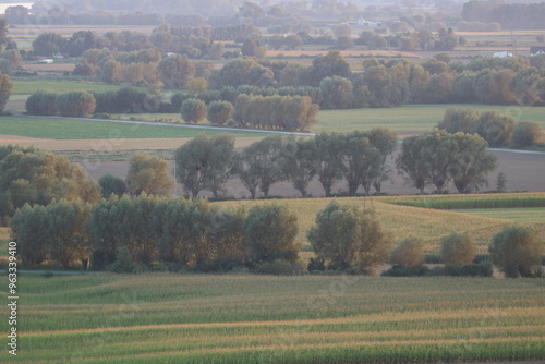 Aerial photos of the Lower Vistula Valley during the golden hour.
