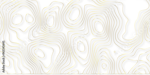 White Topographic map grid abstract backdrop. Geographic contour map. 3d background. Golden gradient color waves on white background. Topographic wavy line texture. Vector illustration.