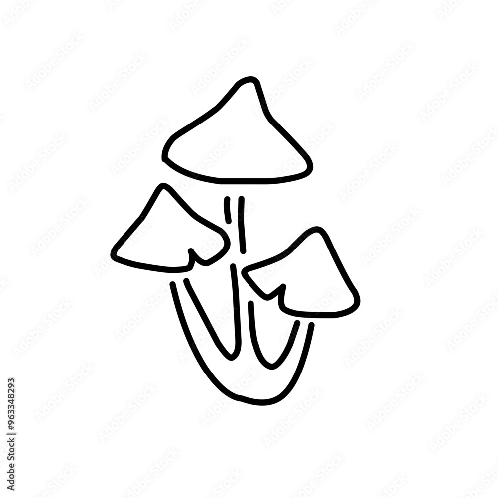 Mushrooms Drawings Vector Illustrations Mushrooms Drawings Vector Illustrations