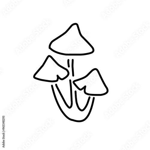 Mushrooms Drawings Vector Illustrations