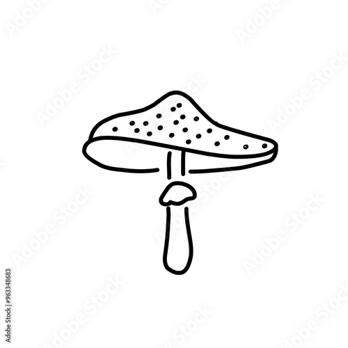 Mushrooms Drawings Vector Illustrations