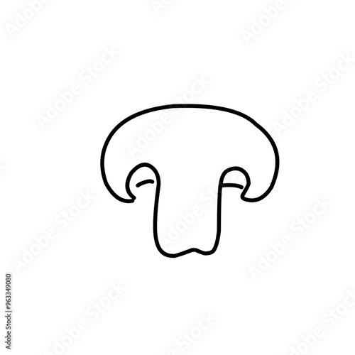 Mushrooms Drawings Vector Illustrations