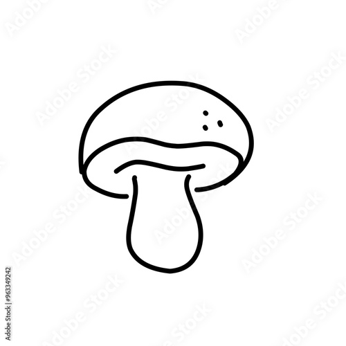 Mushrooms Drawings Vector Illustrations