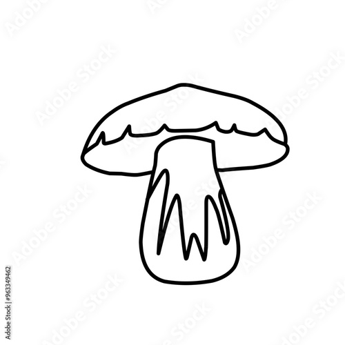 Mushrooms Drawings Vector Illustrations