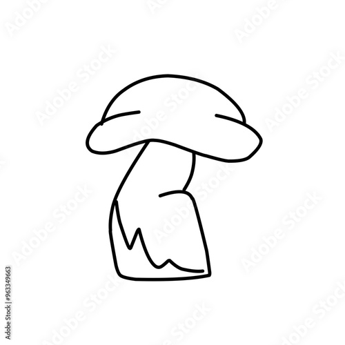 Mushrooms Drawings Vector Illustrations