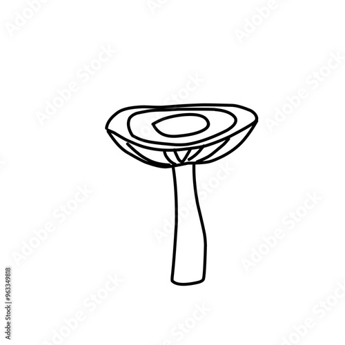Mushrooms Drawings Vector Illustrations
