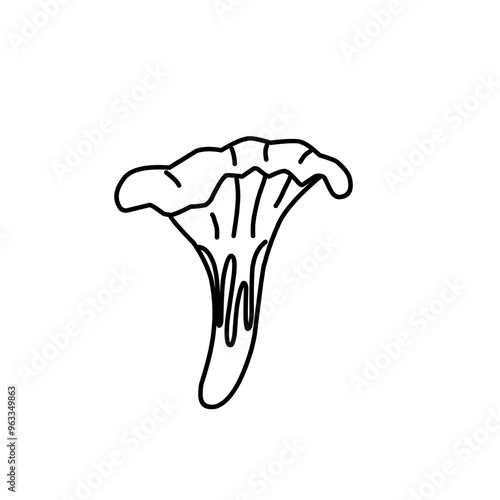 Mushrooms Drawings Vector Illustrations