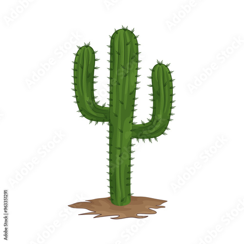 Illustration of cactus 