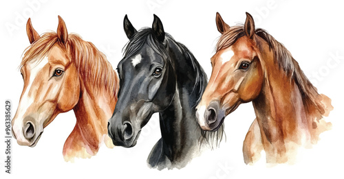 Watercolor Horses on White Background. Illustration