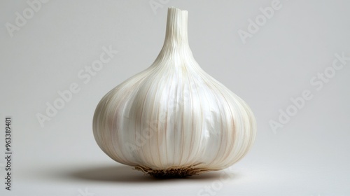 Single White Garlic Bulb on a White Background photo