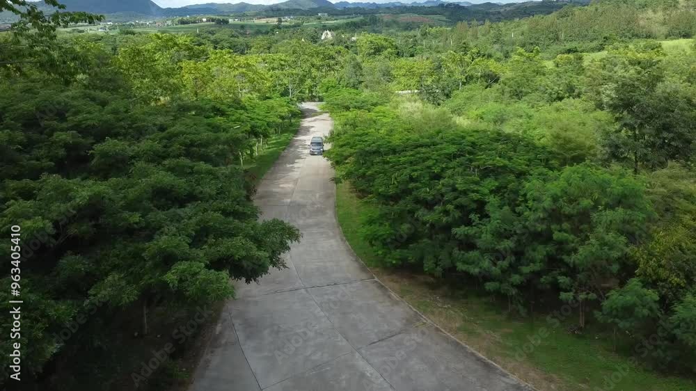 through the park through the park
