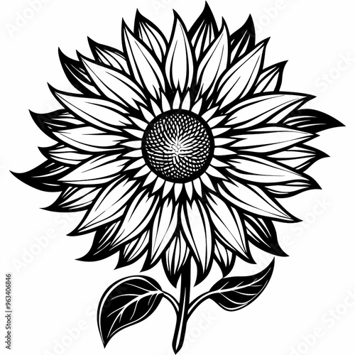 black and white flower vector Isolated white background 