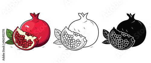 Pomegranate vector illustration, outline, silhouette on white background