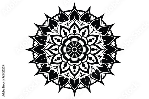 luxury mandala vector illustration D.eps