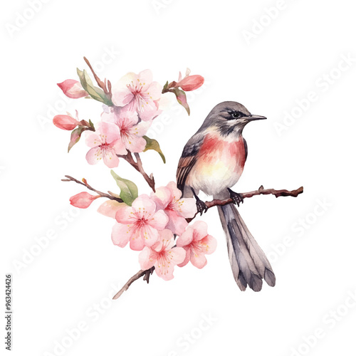 Art & Illustration