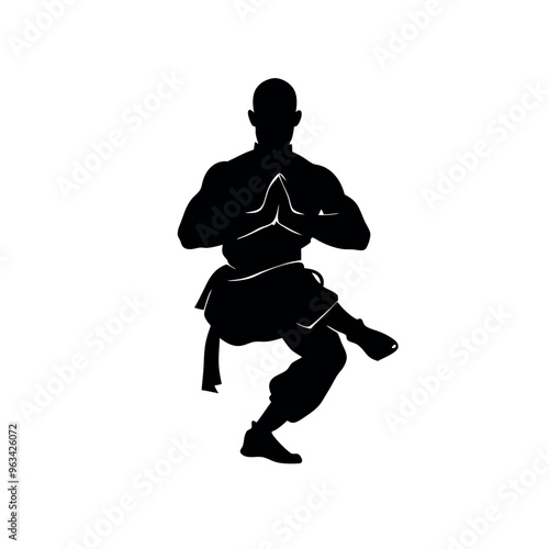 a strong muscle male martial arts kung fu man standing in a powerful pose, highlighted in silhouette against an isolated white background