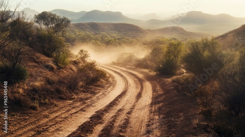 An arid landscape with dusty roads and dried-up vegetation, representing the overall environmental impact of a prolonged drought