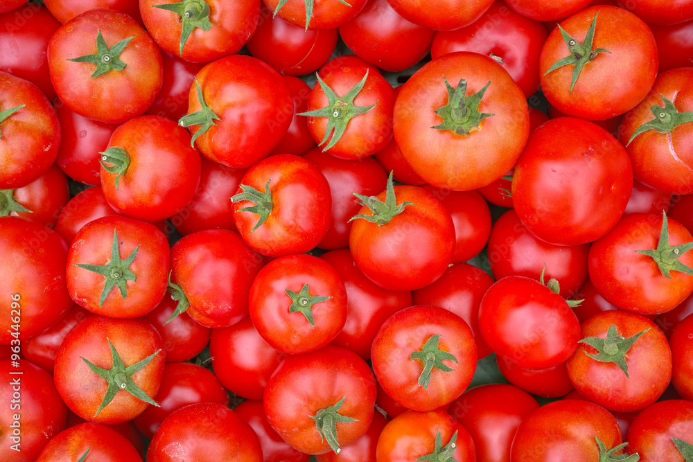 Close up photo of organic tomatoes, selective focus. Close up photo of organic tomatoes, selective focus.