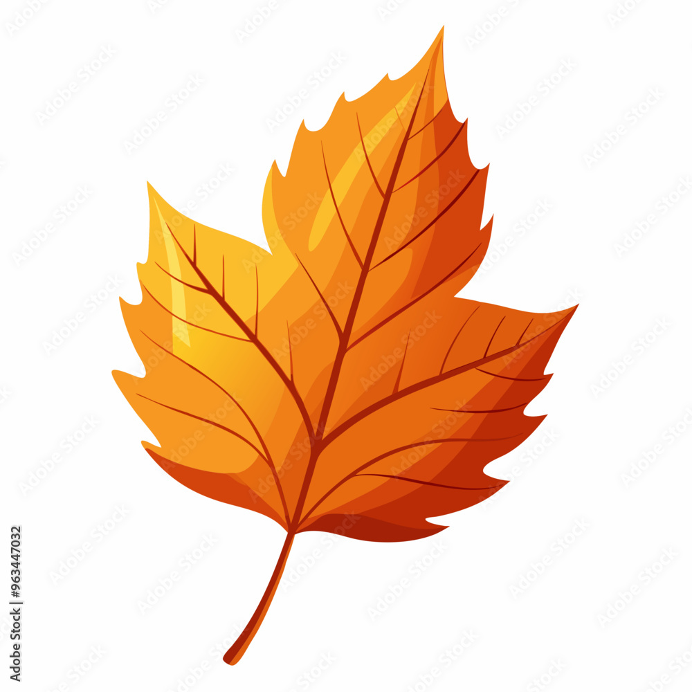 autumn maple leaves autumn maple leaves
