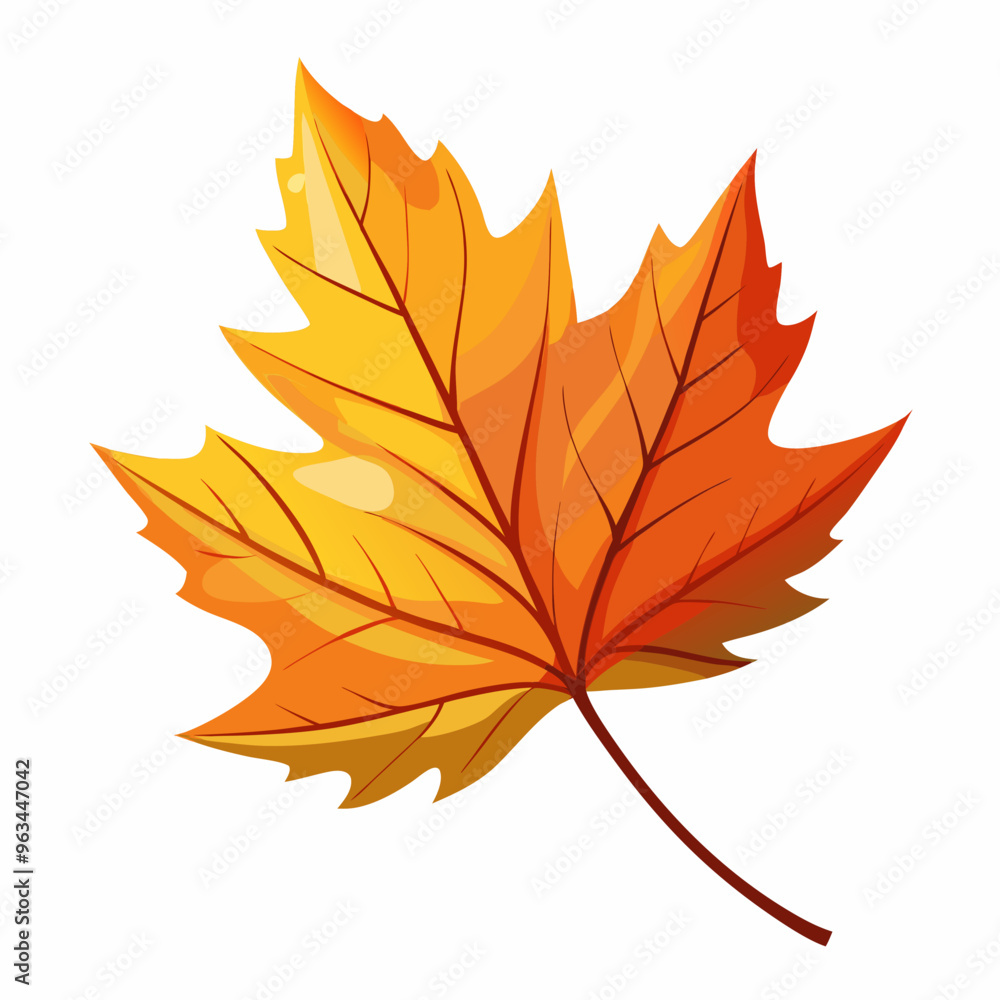 autumn maple leaves autumn maple leaves