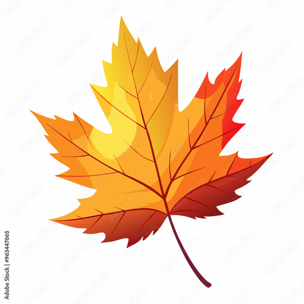 autumn maple leaves autumn maple leaves