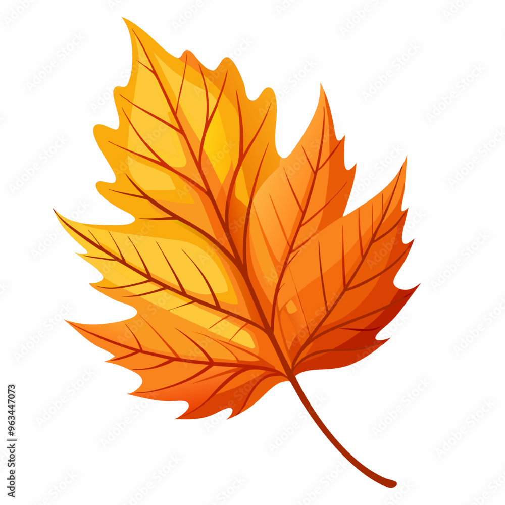 autumn maple leaves autumn maple leaves