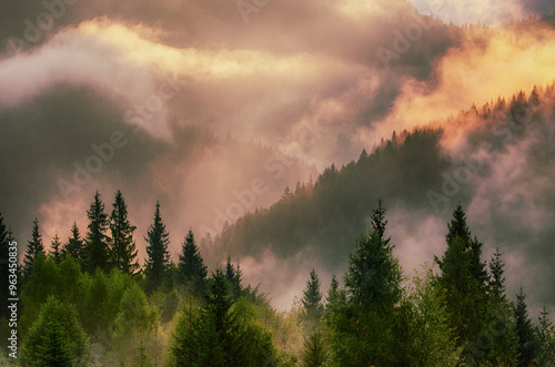 Misty mountain landscape