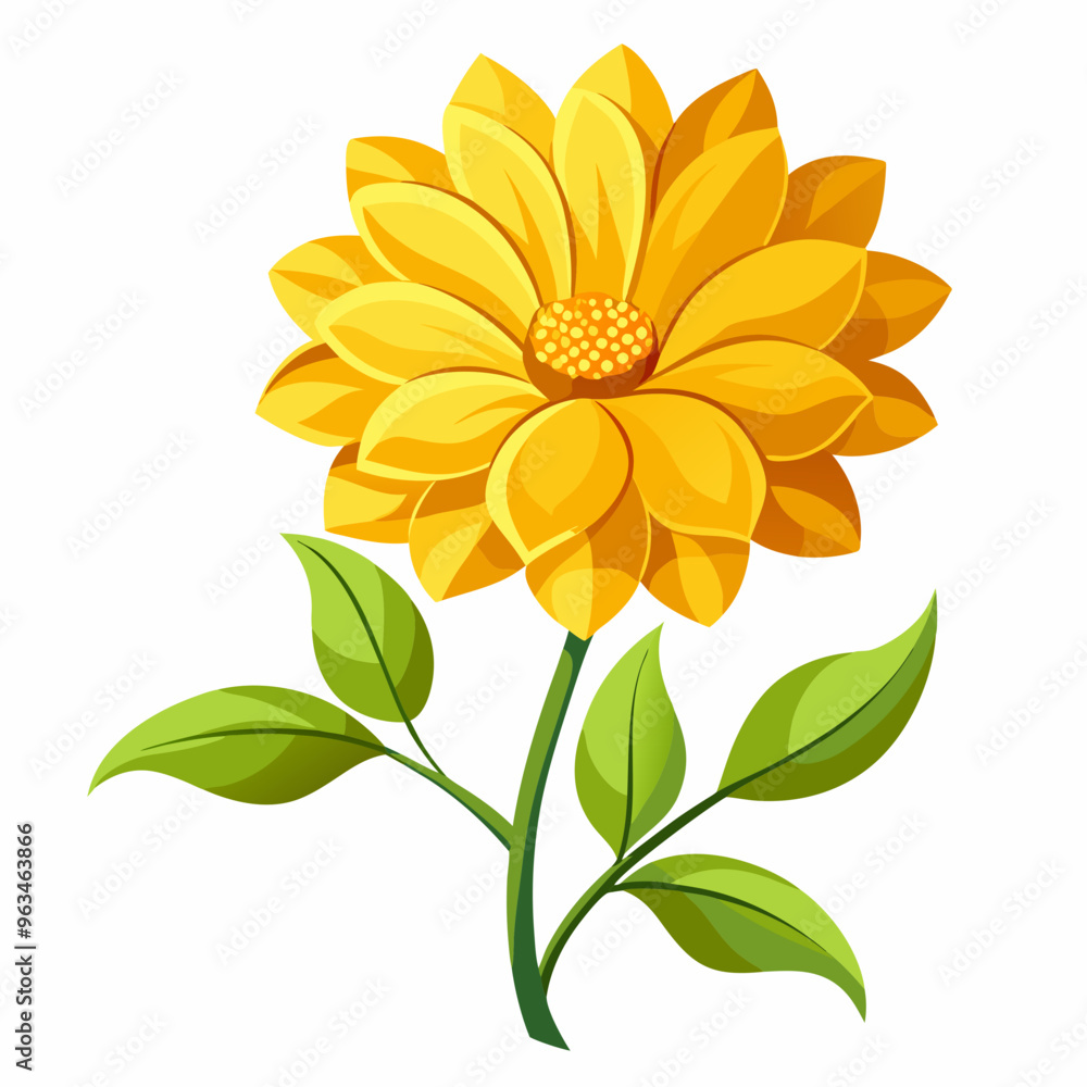 yellow flower isolated on white background yellow flower isolated on white background