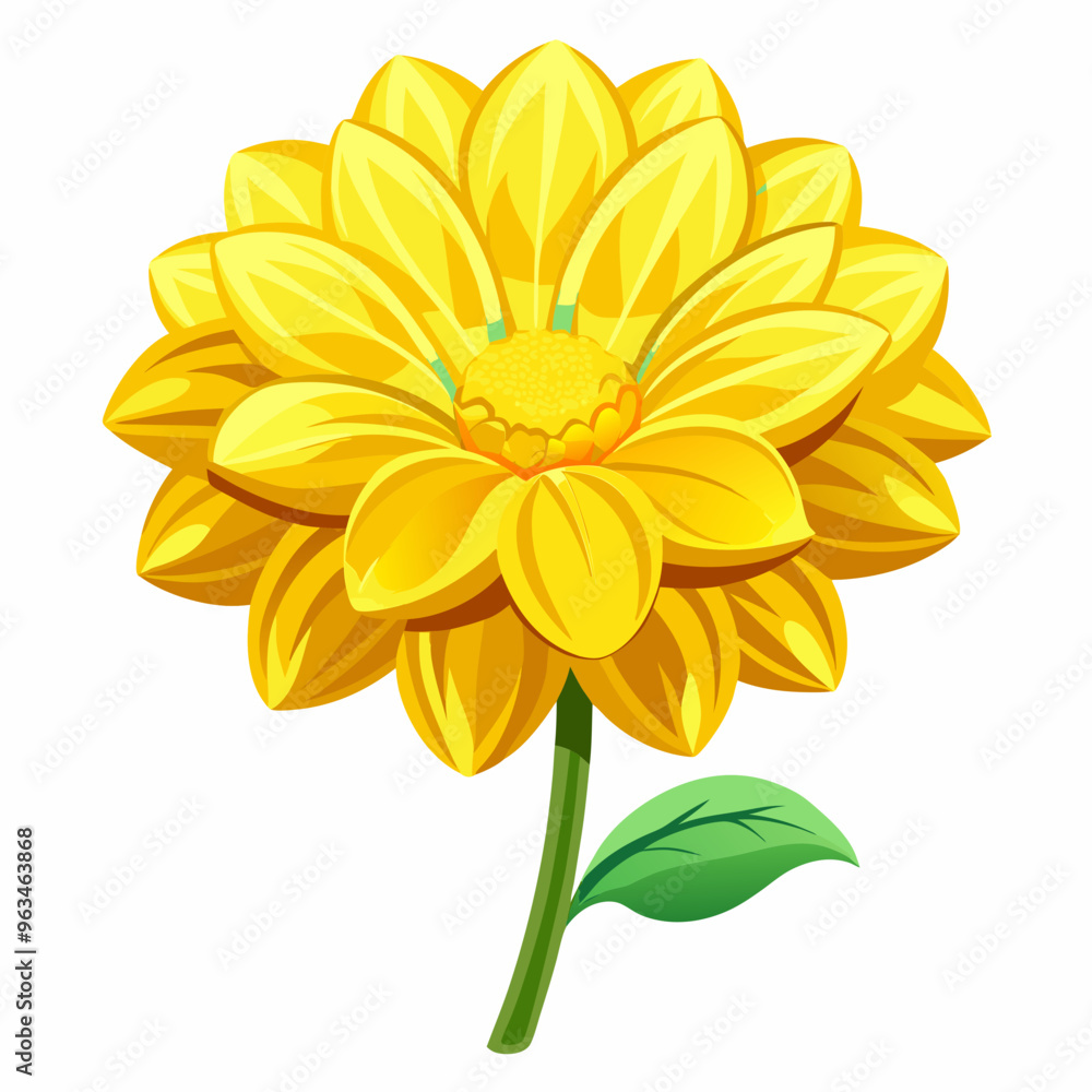 yellow flower isolated on white background yellow flower isolated on white background