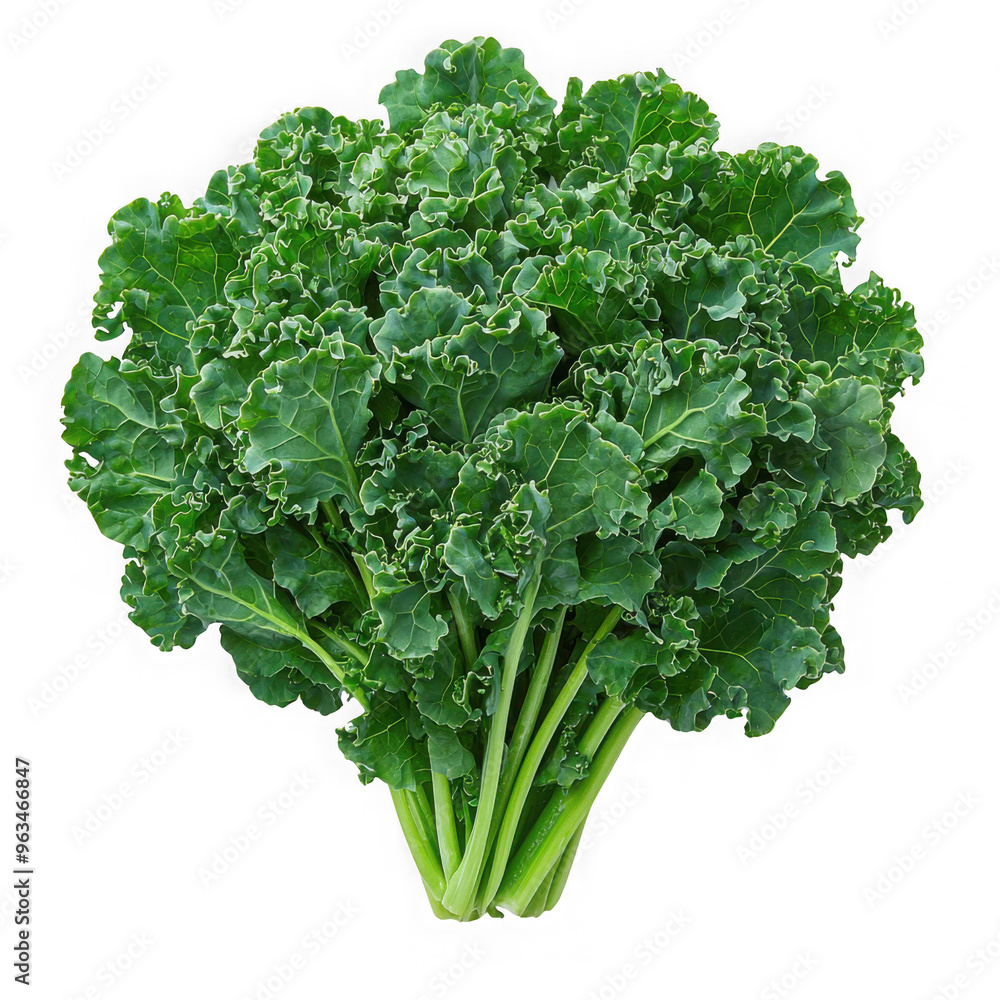 Kale isolated on a transparent background png file no background png file