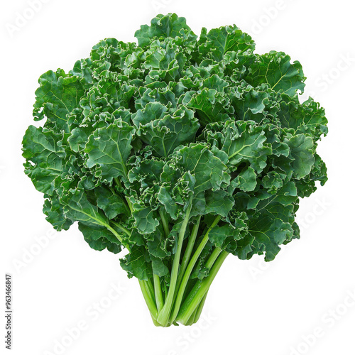 Obraz na płótnie Kale isolated on a transparent background png file no background png file w salonie